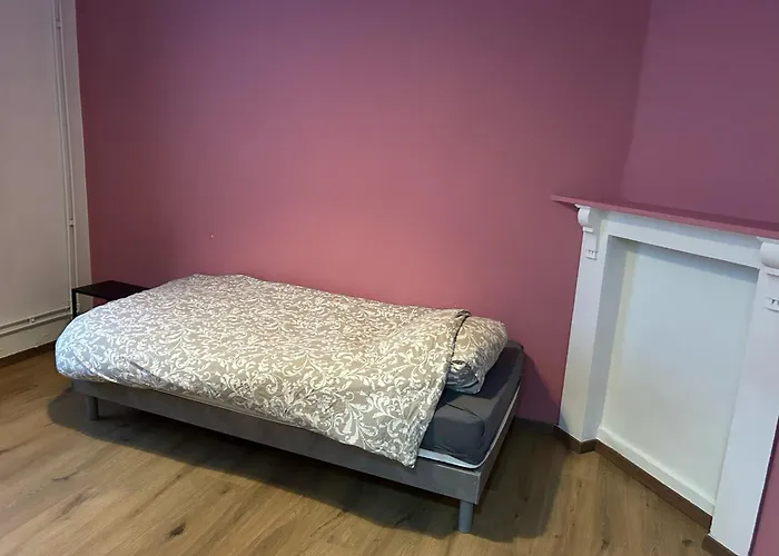 Trietje Casa vacanze Gand